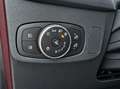 Ford Focus 1.0 Ecob. MHEV 92kW ST-Line Design SIP Rojo - thumbnail 14