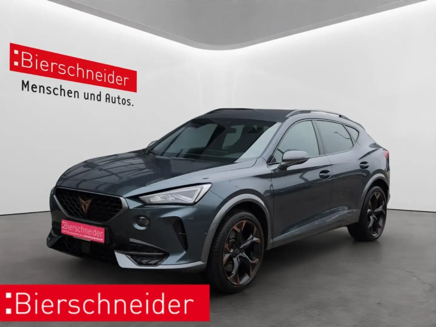 CUPRA Formentor 2.0 TSI DSG 4Drive VZ LED NAVI BEATS PARKLENK ACC Grau - 1