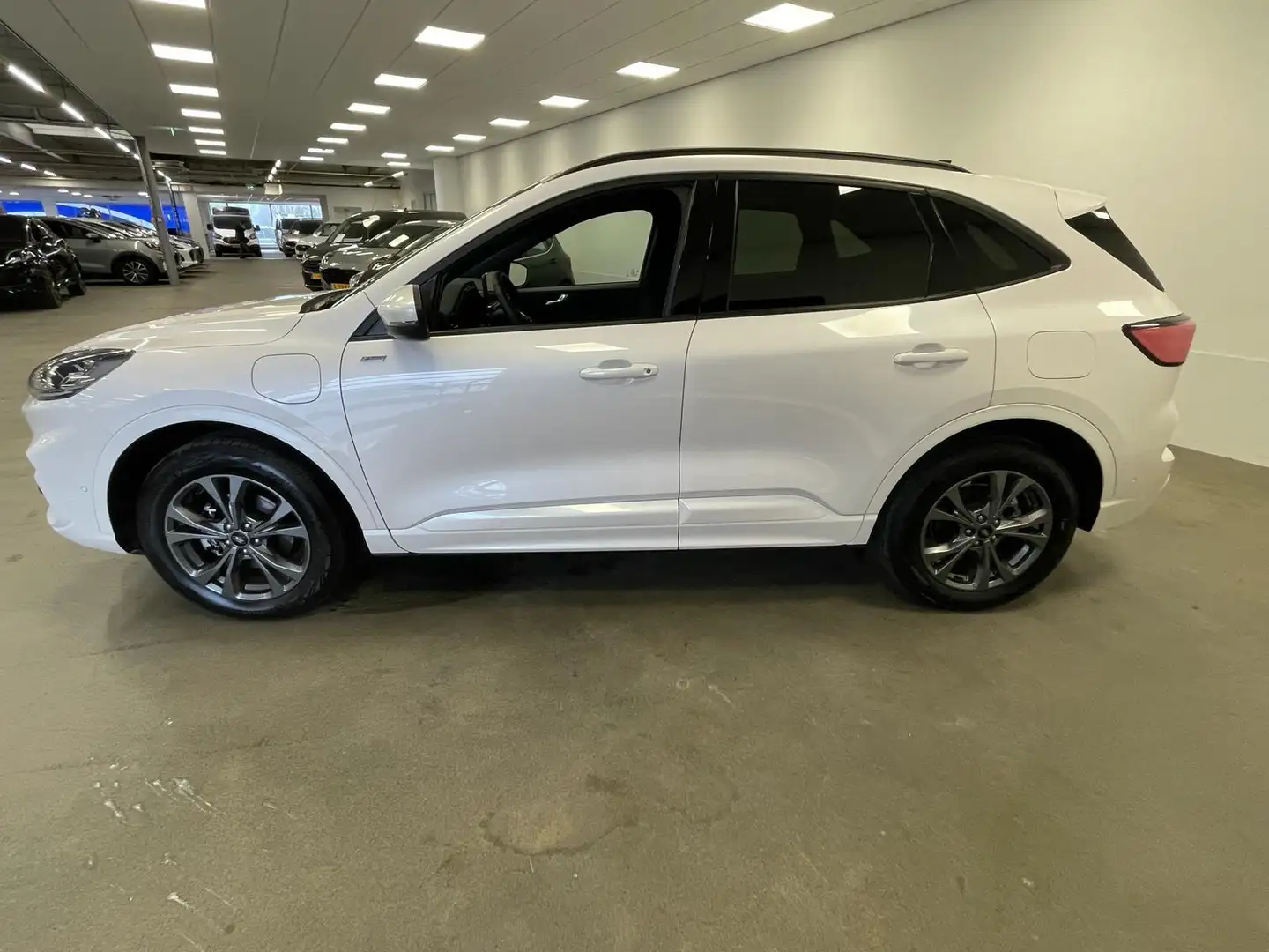 Ford Kuga 2.5 PHEV ST-Line X Wit - 2