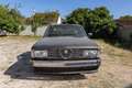Alfa Romeo Alfa 6 Quadrifoglio Oro - thumbnail 5