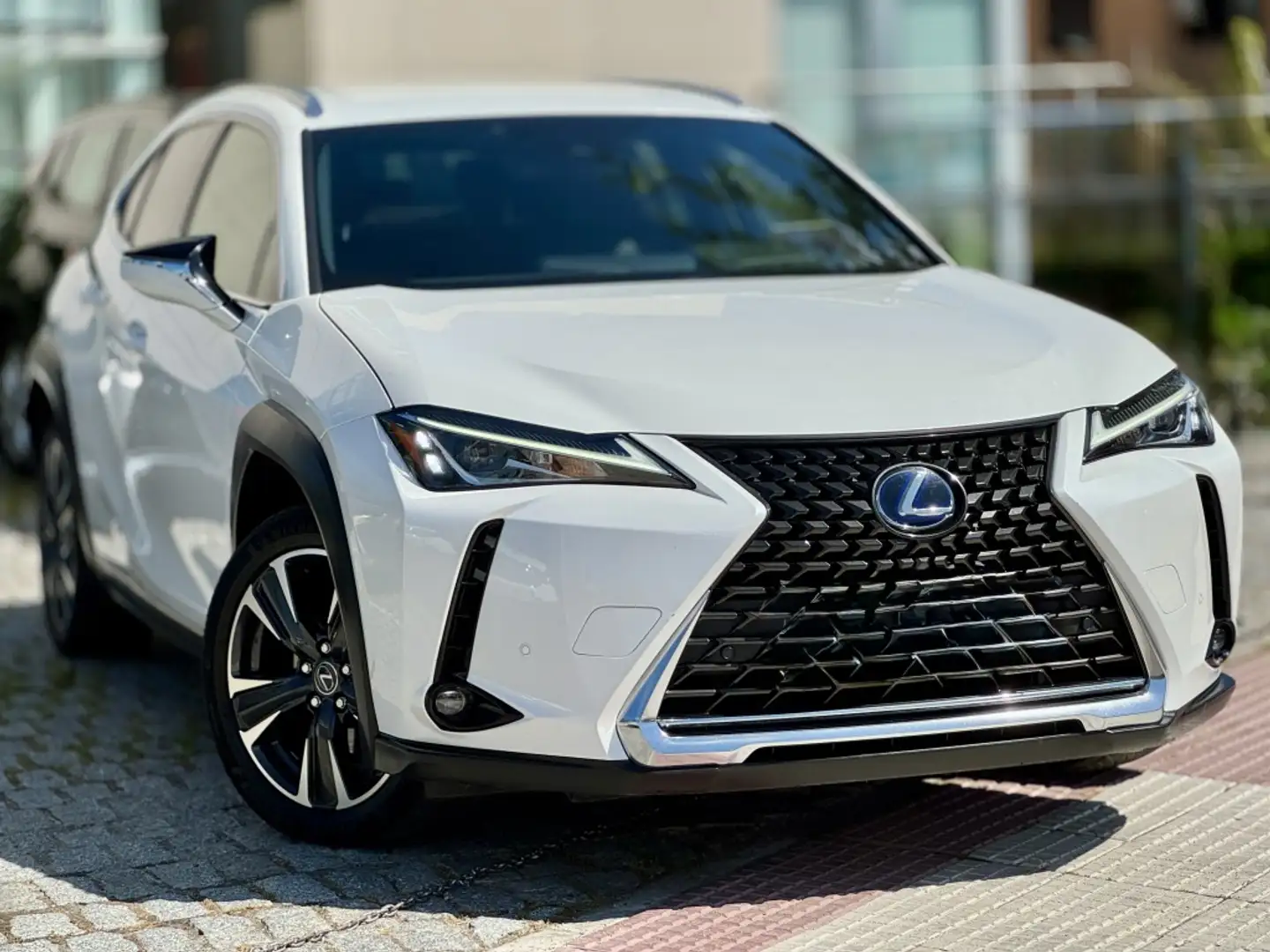 Lexus UX 250h Executive Plus 2WD Blanco - 2