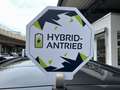Volkswagen Touareg 3.0 TSI eHybrid 4Motion Elegance AHK Pan Grau - thumbnail 10