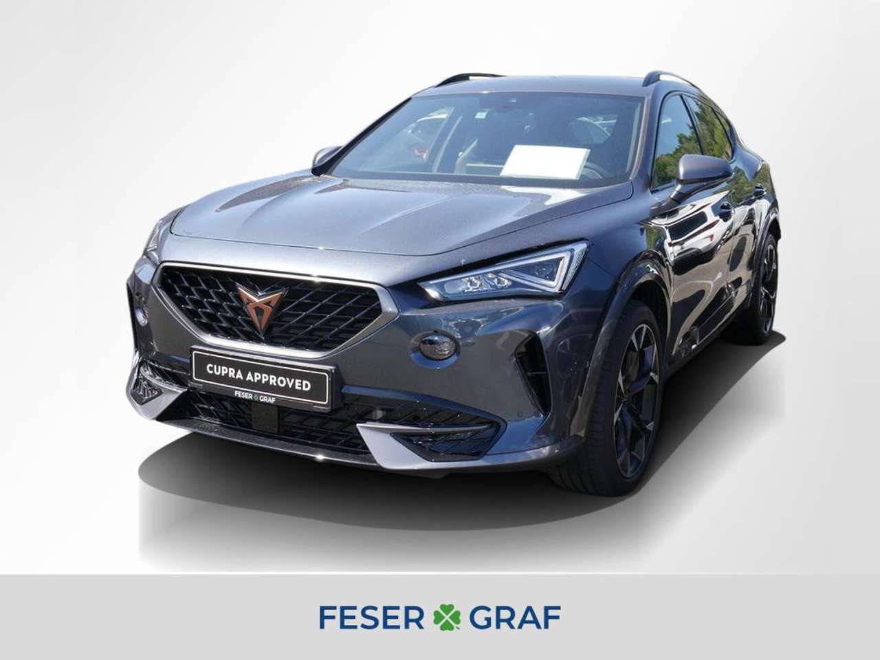 Cupra Formentor — Cupra Formentor VZ 2.0 TSI DSG - NAVI,ACC,LED,RFK,BEATS