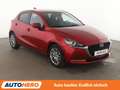 Mazda 2 1.5 e-Skyactiv-G Mild-Hybrid Sports-Line*NAVI*ACC* Rot - thumbnail 8