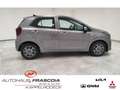 Kia Picanto 1.0 VISION Navi PDC SHZ Rückfahrkam Bluetooth Appl Grau - thumbnail 4
