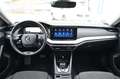 Skoda Octavia 2,0 TDI Premium DSG Grau - thumbnail 16