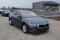 Skoda Octavia 2,0 TDI Premium DSG Grau - thumbnail 4
