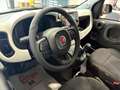Fiat Panda 1.0 firefly hybrid s&s 70cv 5p.ti - thumbnail 13