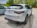 Alfa Romeo Stelvio 2.2 T.d. 160CV AT8 RWD Sprint Grigio - thumbnail 5