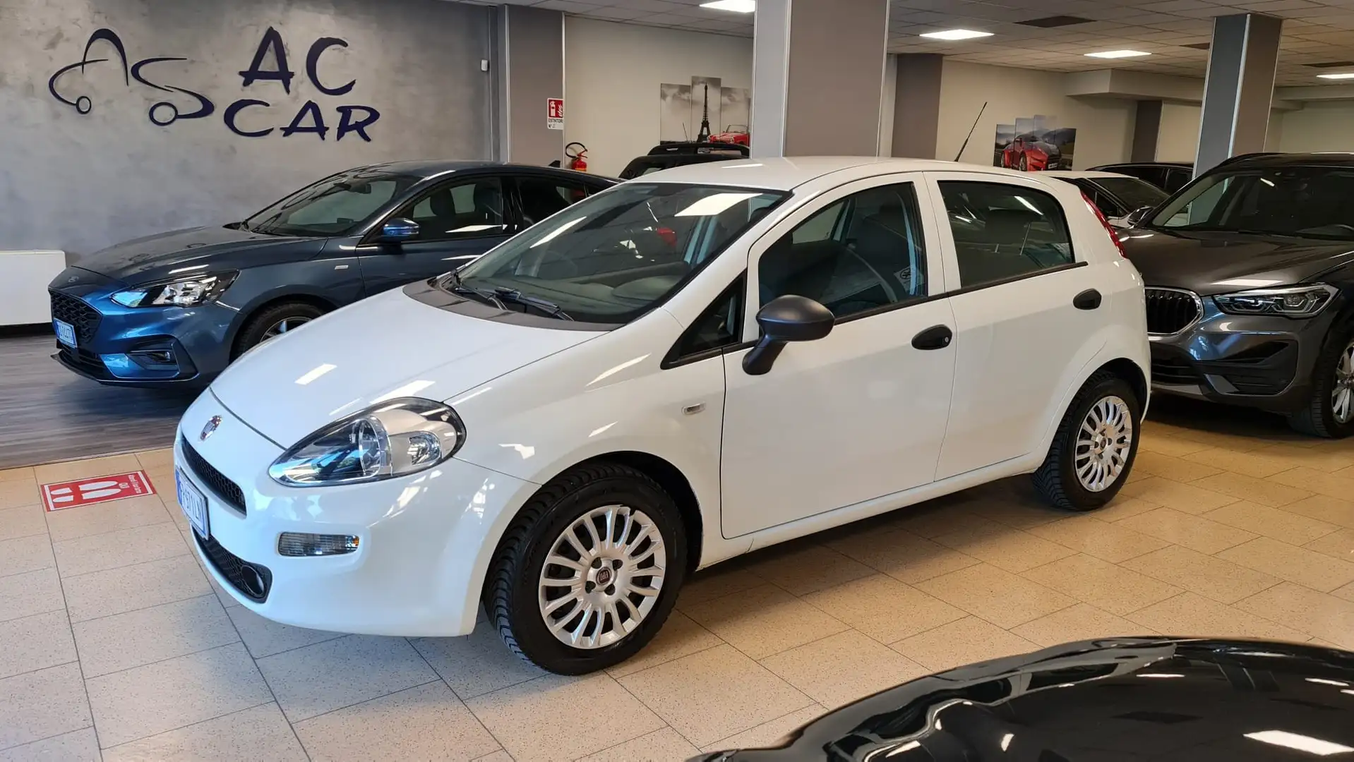 Fiat Punto Punto 5p 1.3 mjt Street s Blanc - 1