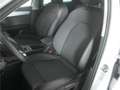 SEAT Leon Sportstourer 1.5 eTSI DSG FR LED/NAV/KAMERA Weiß - thumbnail 11