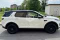 Land Rover Discovery Sport Discovery Sport 2.0 TD4 150 CV Auto Business Ed. Premium SE Blanc - thumbnail 4