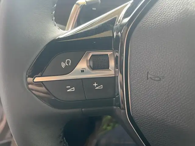 Peugeot 2008 view 12
