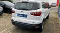 Ford EcoSport Trend/Einparkhilfe/Sitzheizung/Garantie Weiß - thumbnail 7
