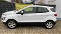 Ford EcoSport Trend/Einparkhilfe/Sitzheizung/Garantie Blanc - thumbnail 5