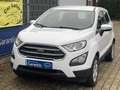 Ford EcoSport Trend/Einparkhilfe/Sitzheizung/Garantie Білий - thumbnail 1