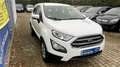 Ford EcoSport Trend/Einparkhilfe/Sitzheizung/Garantie Weiß - thumbnail 4