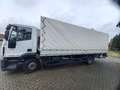 Iveco LKW - thumbnail 14