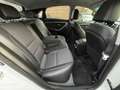 Hyundai i30 Premium Blue ***1An-Garantie*** Blanc - thumbnail 14