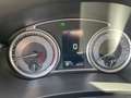 Suzuki Vitara 1.4 Mild-Hybrid Flash ALLGRIP 4X4 AUTOMATIC!NEU!!! Grau - thumbnail 14
