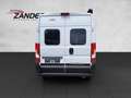 LMC Innovan 603 Edition 70 Jahre Markise Weiß - thumbnail 5