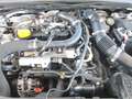 Renault Clio Clio 1.0 tce Business 90cv my21 Bianco - thumbnail 6