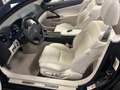 Lexus IS 250 Cabrio 250C  Luxury auto IPERFULL UFF ITALIANA Blau - thumbnail 14
