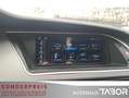 Audi A5 Sportback 2.0 TDI quattro S-tr LM Xen APS GRA - thumbnail 7