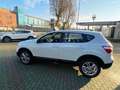 Nissan Qashqai 1.5 dci Acenta Dpf FL Bianco - thumbnail 8