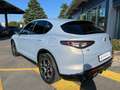 Alfa Romeo Stelvio 2.2 Turbodiesel 210 CV AT8 Q4 Veloce Blanc - thumbnail 8