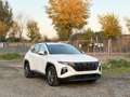 Hyundai TUCSON Tucson 1.6 crdi 48V Xline 2wd dct Bianco - thumbnail 20