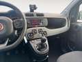 Fiat Panda 0.9 t.air t. natural power City Life 70cv 5p.ti - thumbnail 12