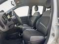 Fiat Panda 0.9 t.air t. natural power City Life 70cv 5p.ti - thumbnail 10
