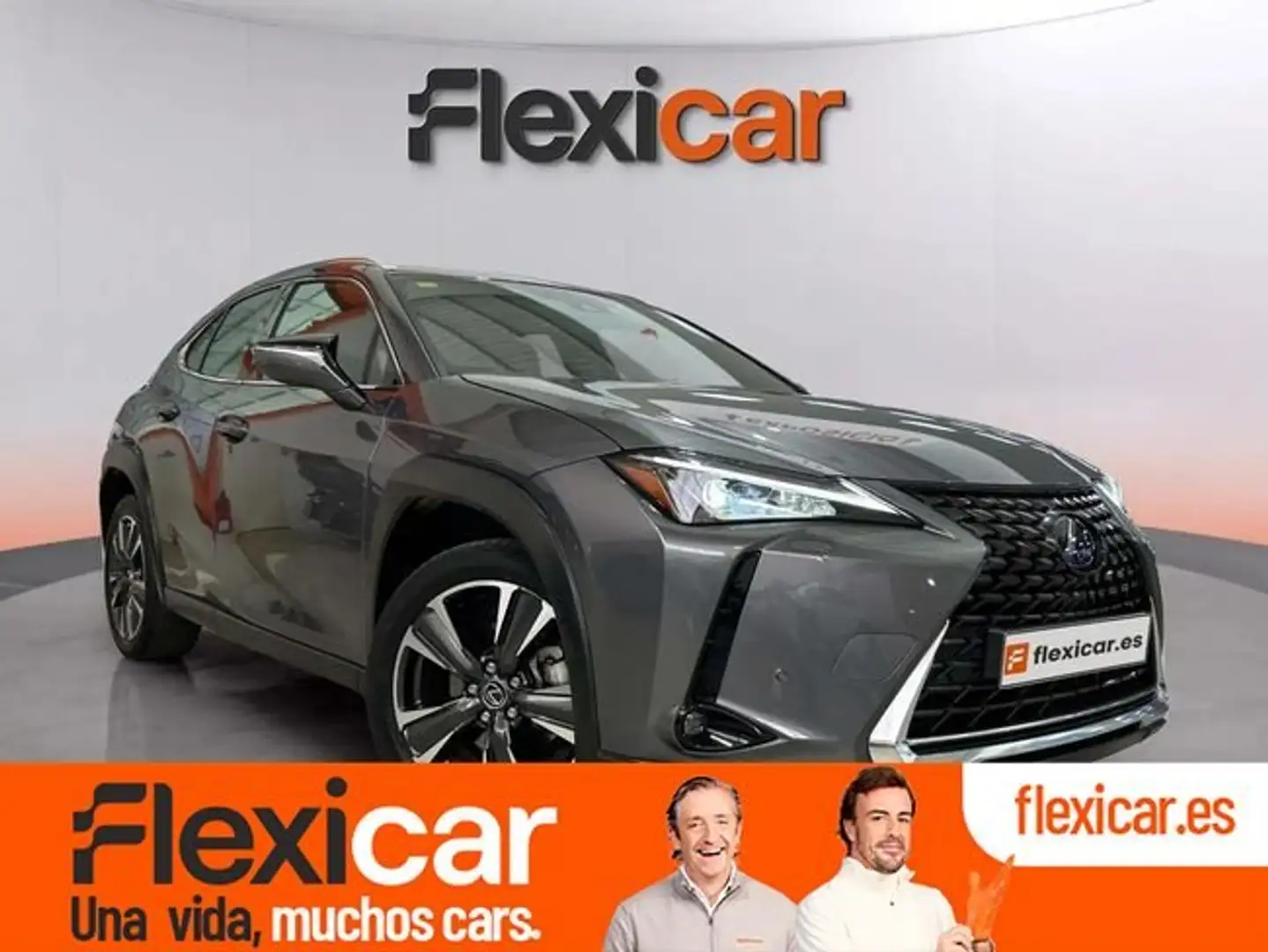 Lexus UX 250h Style 2WD Gris - 1