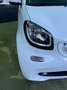 smart forTwo 1.0 Passion 71cv twinamic my18 - thumbnail 6