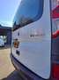 Renault Kangoo Kangoo 1.5 dCi 75 Ex.C. S Wit - thumbnail 3