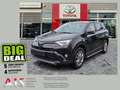 Toyota RAV 4 RAV4 2.5 Hybrid Executive mit Bearlock AHK DAB Brun - thumbnail 1
