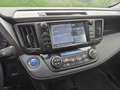 Toyota RAV 4 RAV4 2.5 Hybrid Executive mit Bearlock AHK DAB Brun - thumbnail 15