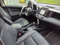 Toyota RAV 4 RAV4 2.5 Hybrid Executive mit Bearlock AHK DAB Maro - thumbnail 12