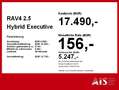 Toyota RAV 4 RAV4 2.5 Hybrid Executive mit Bearlock AHK DAB Brun - thumbnail 5