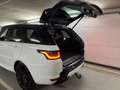 Land Rover Range Rover Sport SDV6 HSE Dynamic|Facelift|Voll Weiß - thumbnail 28