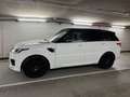 Land Rover Range Rover Sport SDV6 HSE Dynamic|Facelift|Voll Weiß - thumbnail 2