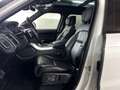 Land Rover Range Rover Sport SDV6 HSE Dynamic|Facelift|Voll Weiß - thumbnail 8
