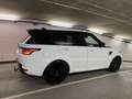 Land Rover Range Rover Sport SDV6 HSE Dynamic|Facelift|Voll Weiß - thumbnail 5