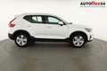 Volvo XC40 Core 2WD B3 Mild-Hybrid Core, Navi, Thors Hamme... Weiß - thumbnail 20