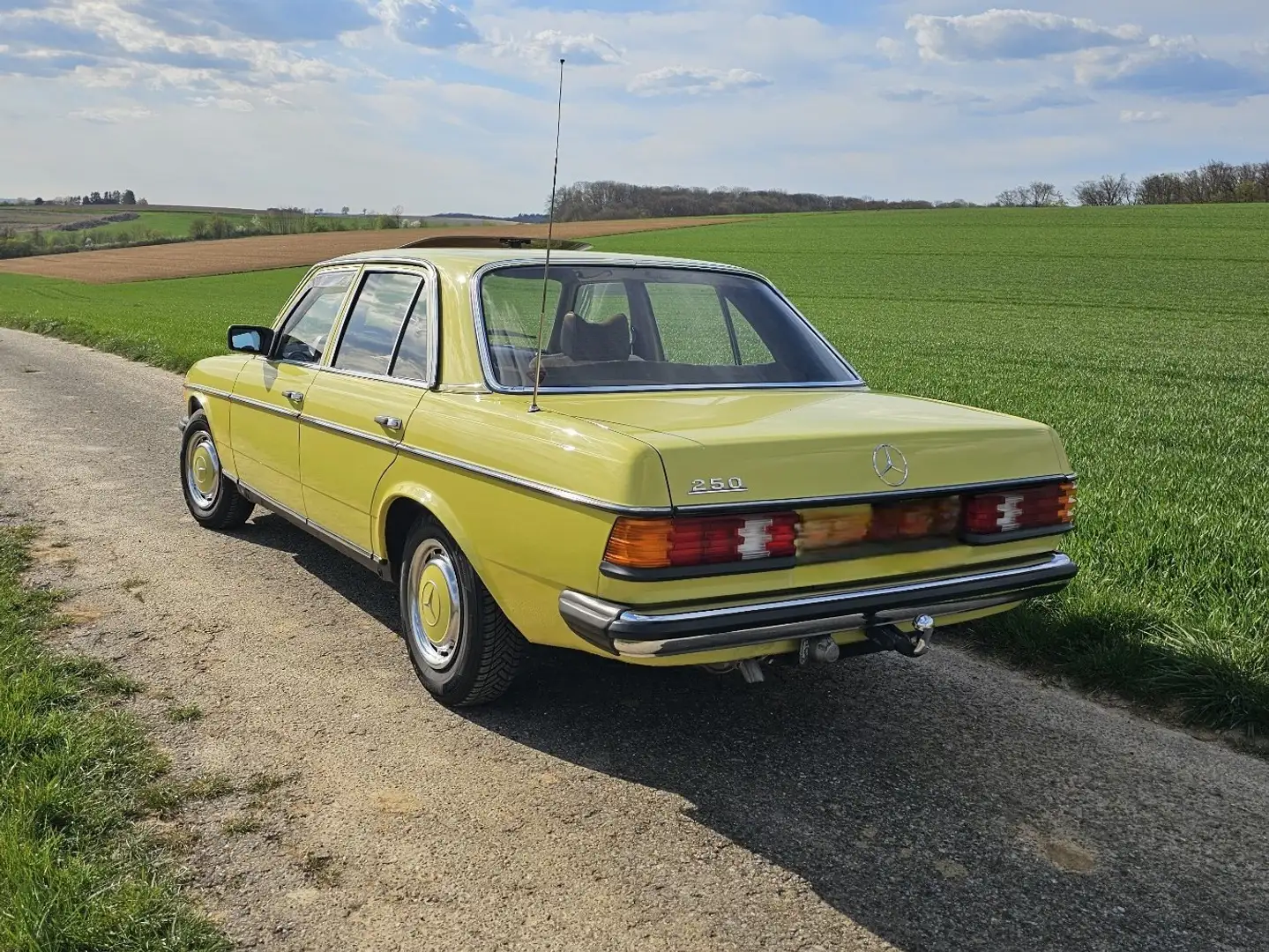 Mercedes-Benz 250 W123 Verde - 2
