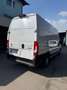 Citroen Jumper Kasten L4 H3 Weiß - thumbnail 3