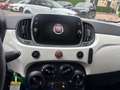 Fiat 500C 0.9 TwinAir Turbo Lounge Cabrio U-Connect Wit - thumbnail 10