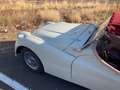 Triumph TR2 Blanc - thumbnail 3