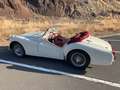 Triumph TR2 Blanc - thumbnail 8